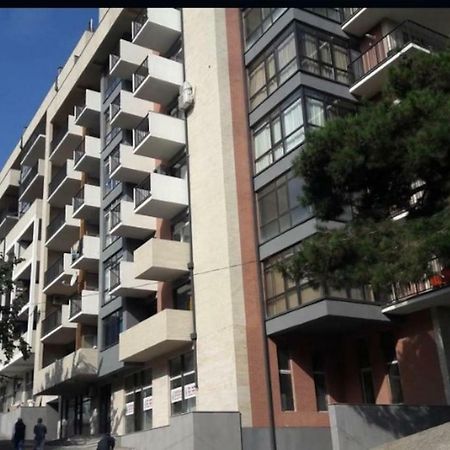 Sunny Apartment Ortachala Tbilisi Esterno foto
